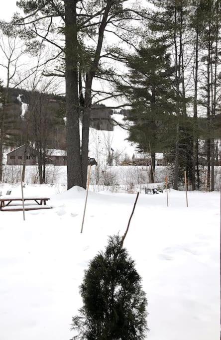 Attitash Mountain Village Studio - Slope View - Ski - Storyland Bartlett Exterior foto